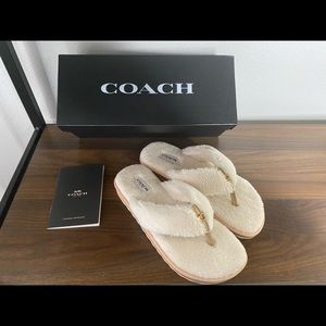 NWT COACH Teddy Plush Flip Flop Sandals Slippers